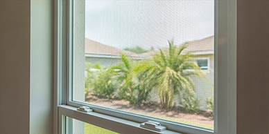 pool-cage-rescreening